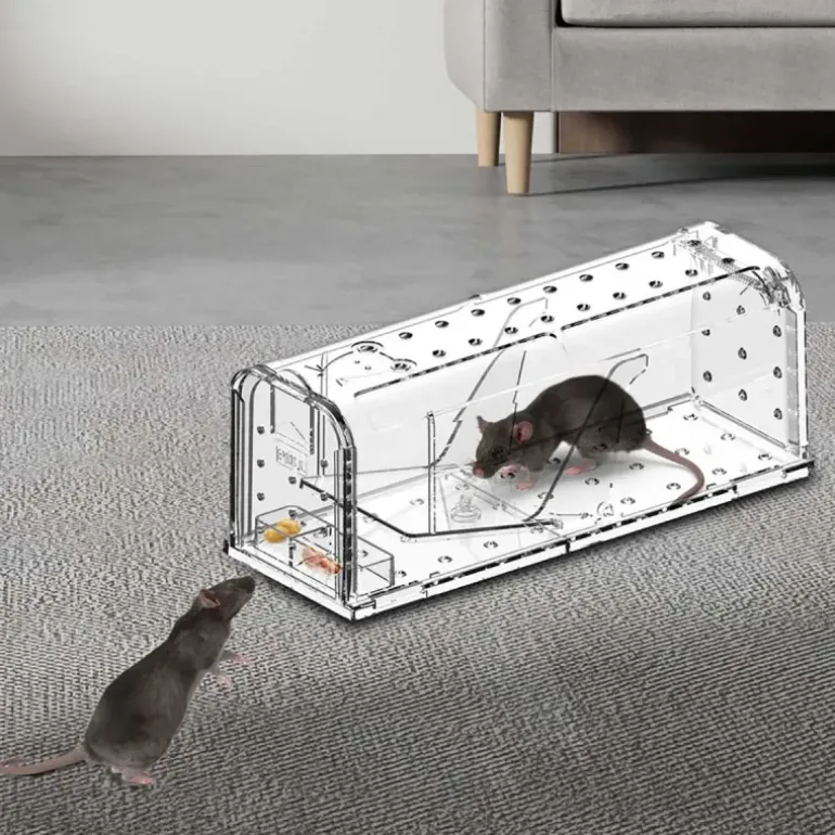 Lot de 2 cages à souris en plastique résistantes avec aération
