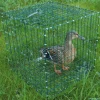 Lot de 10 Cages pour chanteuse pliable 30x30x30cm