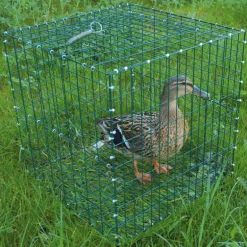 Lot de 10 Cages pour chanteuse pliable 30x30x30cm