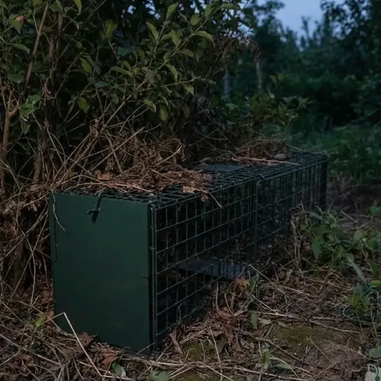 Lot de 10 Cages Renard à Appât robuste en maille carrée 13kg 140x30x35cm