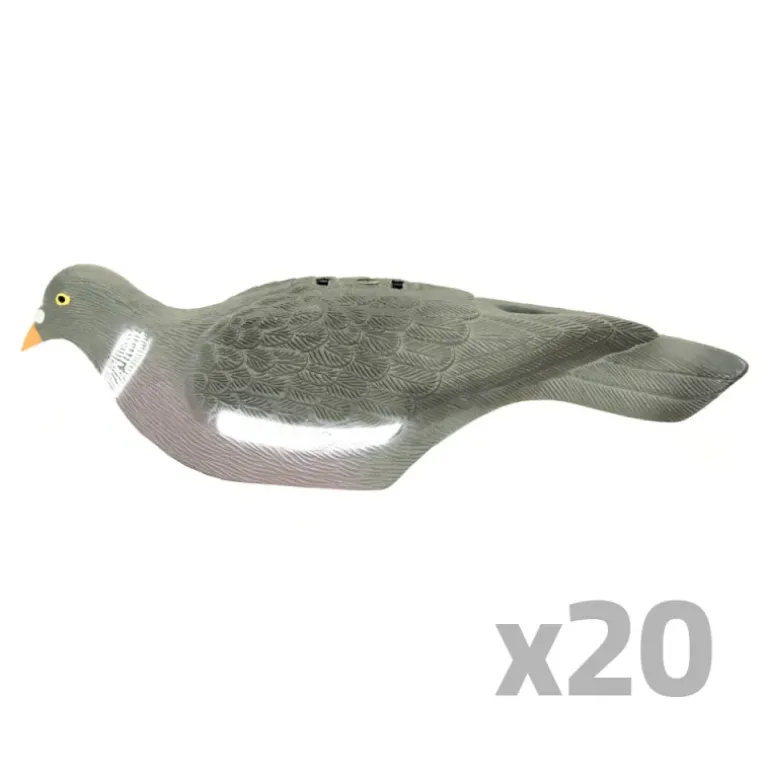 Lot de 20 Pigeons ramier en coquille léger