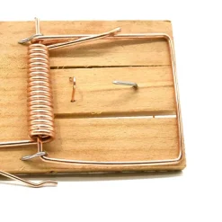 Lot de 10 Tapettes à rat en bois 170 X 75 mm