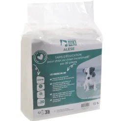 Lot de 20 tapis d'éducation absorbants pour chien - 60x45 cm