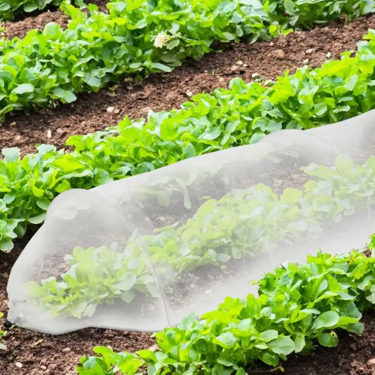 Lot de 4 Tunnels de croissance 3m pour potager