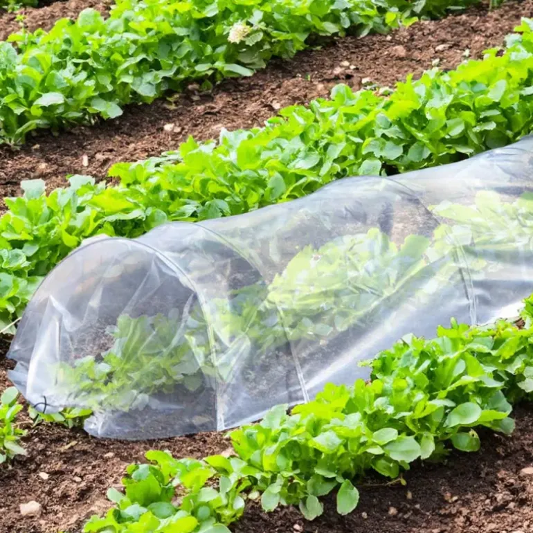 Lot de 4 Tunnels de Forçage 3m pour potager
