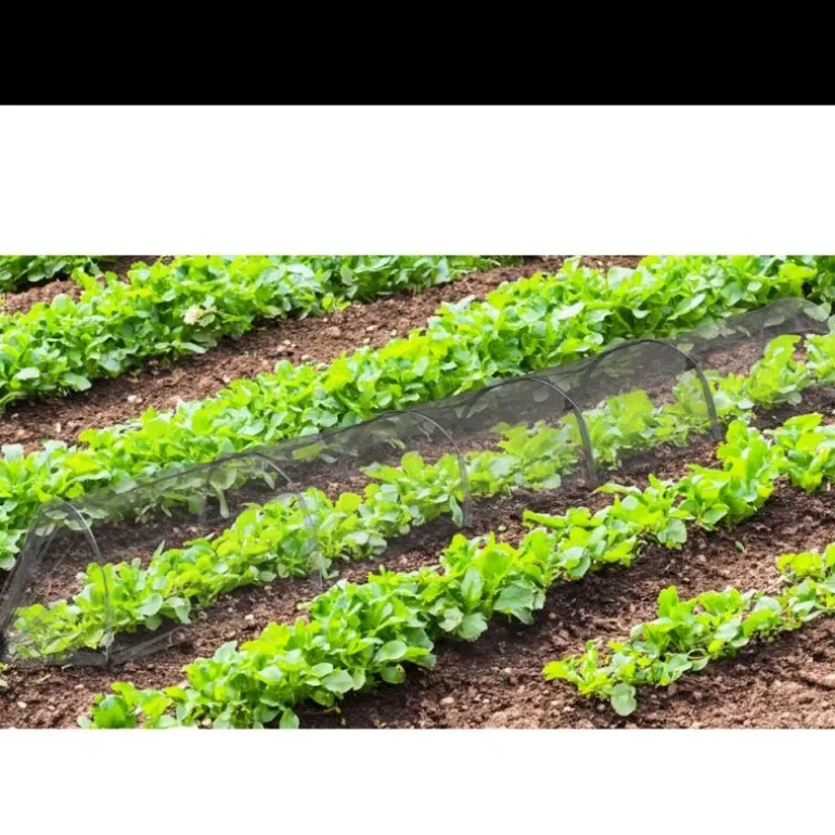 Lot de 4 Tunnels de protection pour potager maillé - 3 m