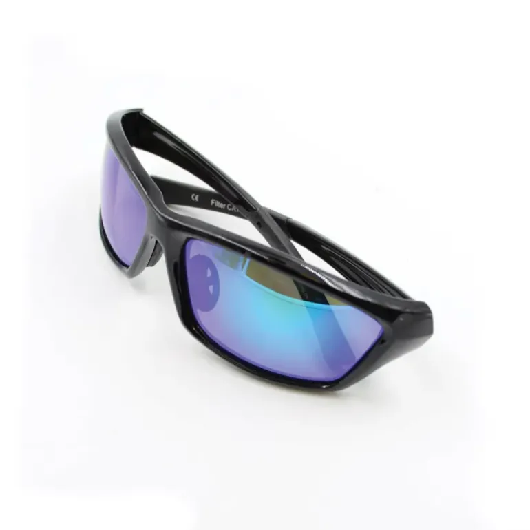 Lunettes polarisantes