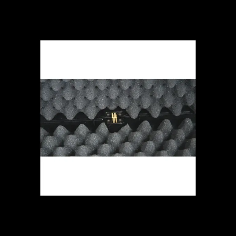 Mallette pvc fusil 2 clips 2 verrous code 3 chiffres 96x29x10cm