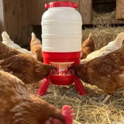 Mangeoire anti-gaspillage sur pieds 30 kg – Grande capacité