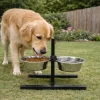 Mangeoire chien sur pied réglable + 2 gamelles Ø de 19 cm