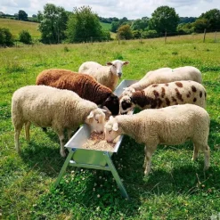 Mangeoire linéaire galvanisée moutons brebis chèvres
