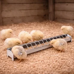 Mangeoire métal poussins 50 cm à barrettes avec couvercle
