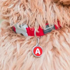 Médaille alphabétique gravable pour chien - Acier inoxydable Ø 3 cm