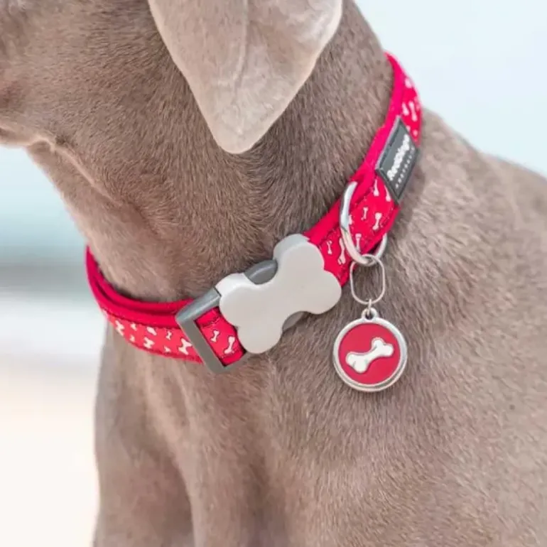 Médaille gravable pour chien - Ø 3cm - Acier inoxydable