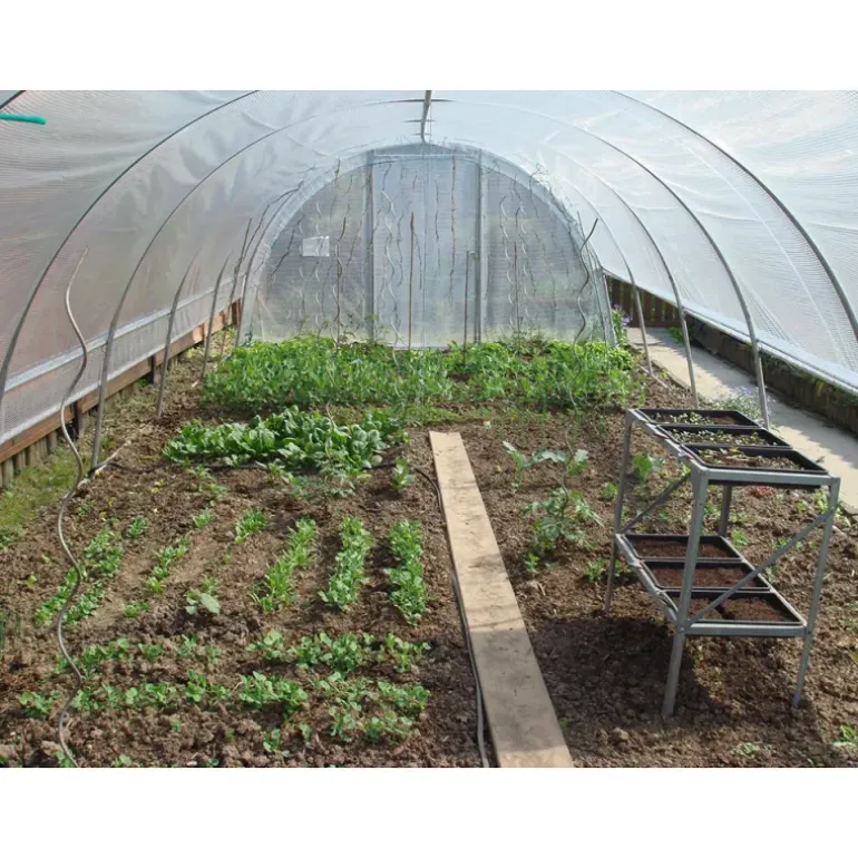 Mini serre de jardin avec aération Largeur 3.70 m