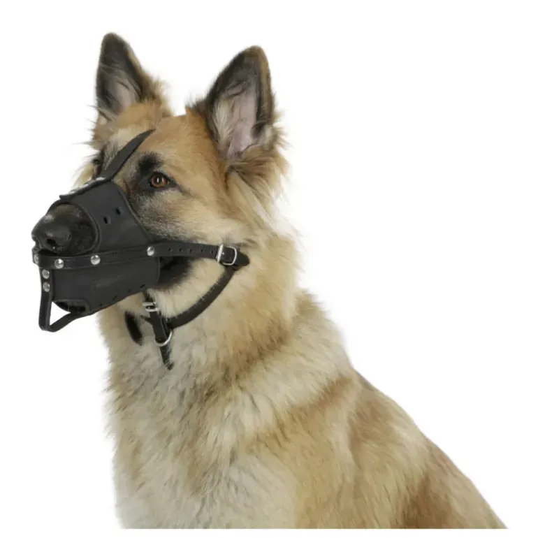 Muselière pour chien en cuir