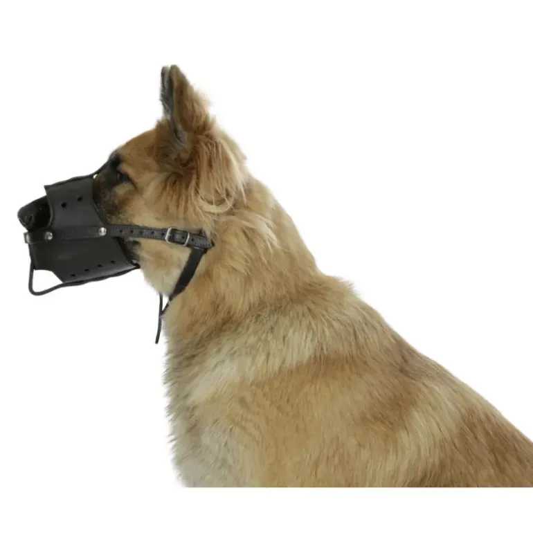 Muselière pour chien en cuir