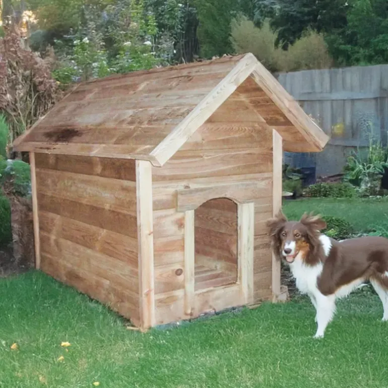 Niche XXL grand chien en pin autoclave 115×80×106 cm