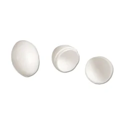 Oeuf pigeon en plastique reproduction des pigeons