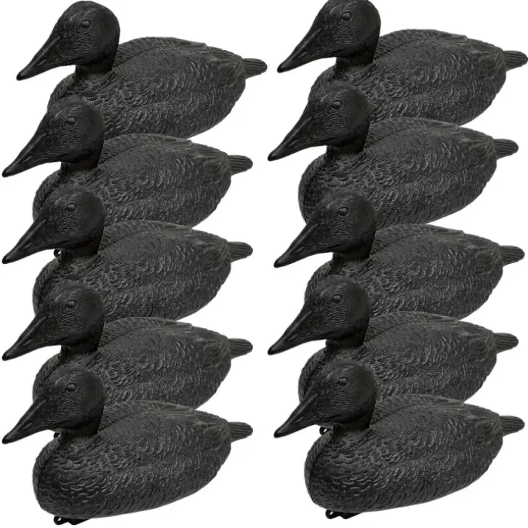 Pack de 10 Eiders Noirs Appelants Flottants Réaliste