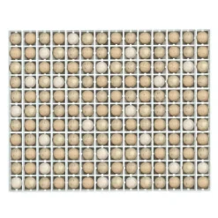 Panier d'incubation 154 oeufs de perdrix TR154