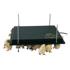 Panneau chauffant poussin 42 W