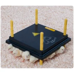 Panneau chauffant poussin 62 W