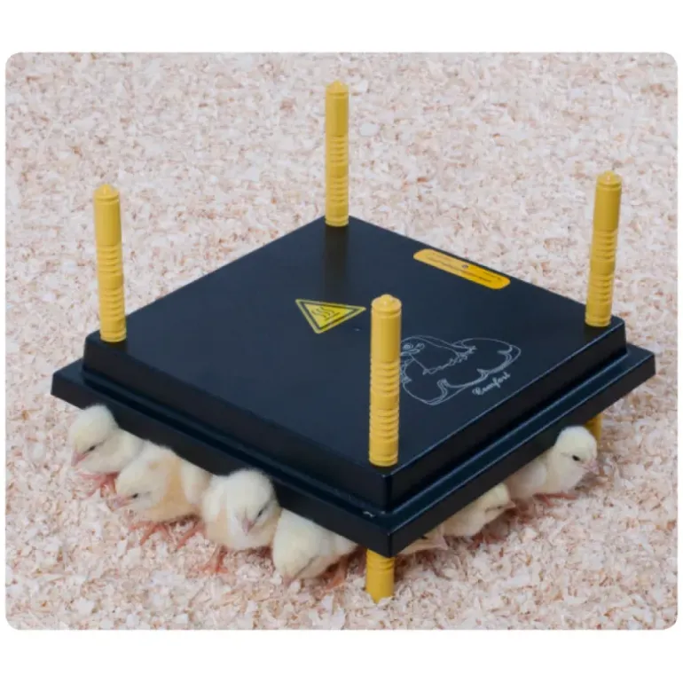 Panneau chauffant poussin 62 W