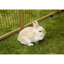 Parc extérieur en pin pour petits animaux avec abri