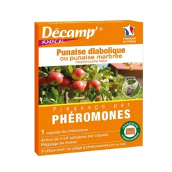 Phéromones anti-punaises diaboliques - 1 capsule - Efficacité 4 à 6 semaines