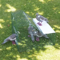 Piège cage à pigeons double entrée 60 X 60 X 45 cm