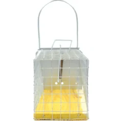 Piège cage à rat 1 entée 235 x 80 x 100 mm