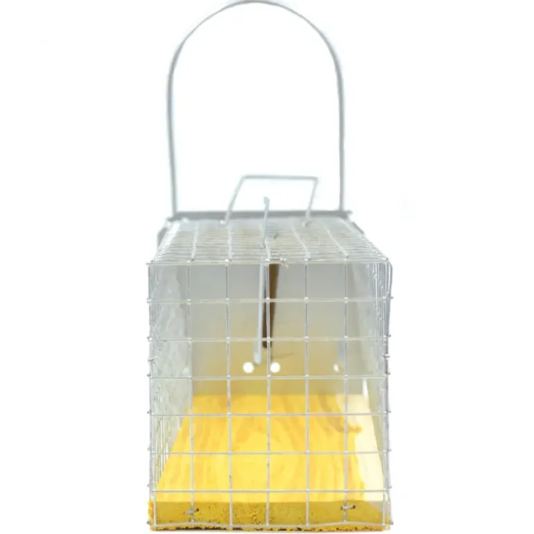 Piège cage à rat 2 entrées 235 x 80 x 100 mm