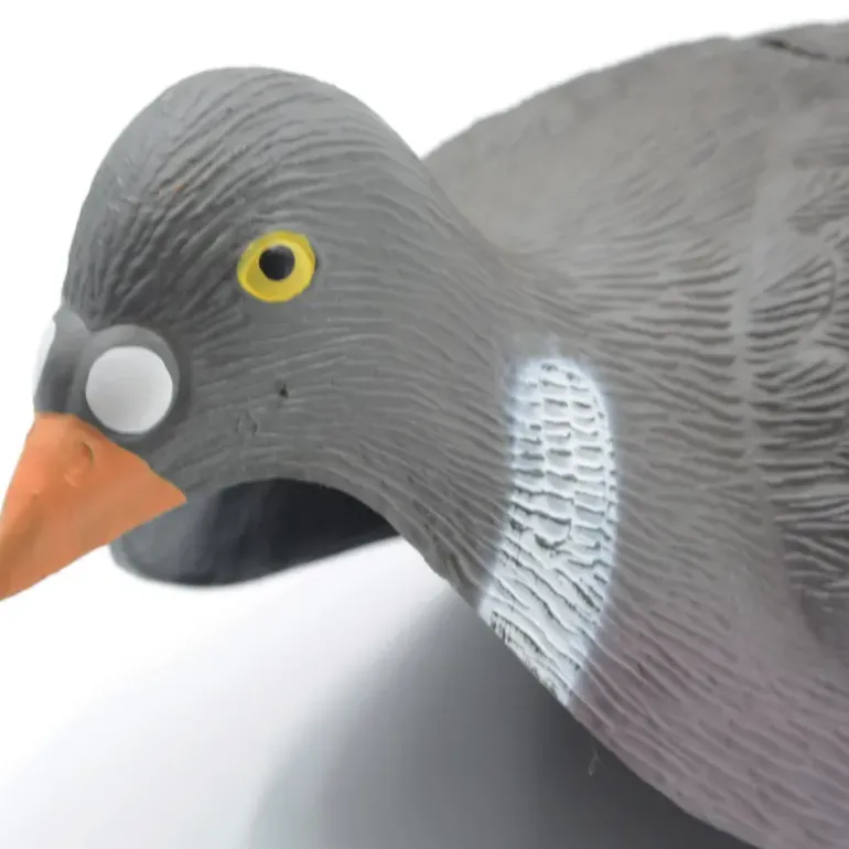 Pigeon ramier en coquille léger à l'unité