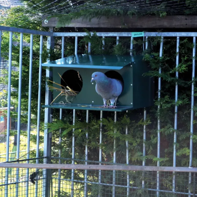 Pigeonnier extérieur 2 places thermolaq. vert