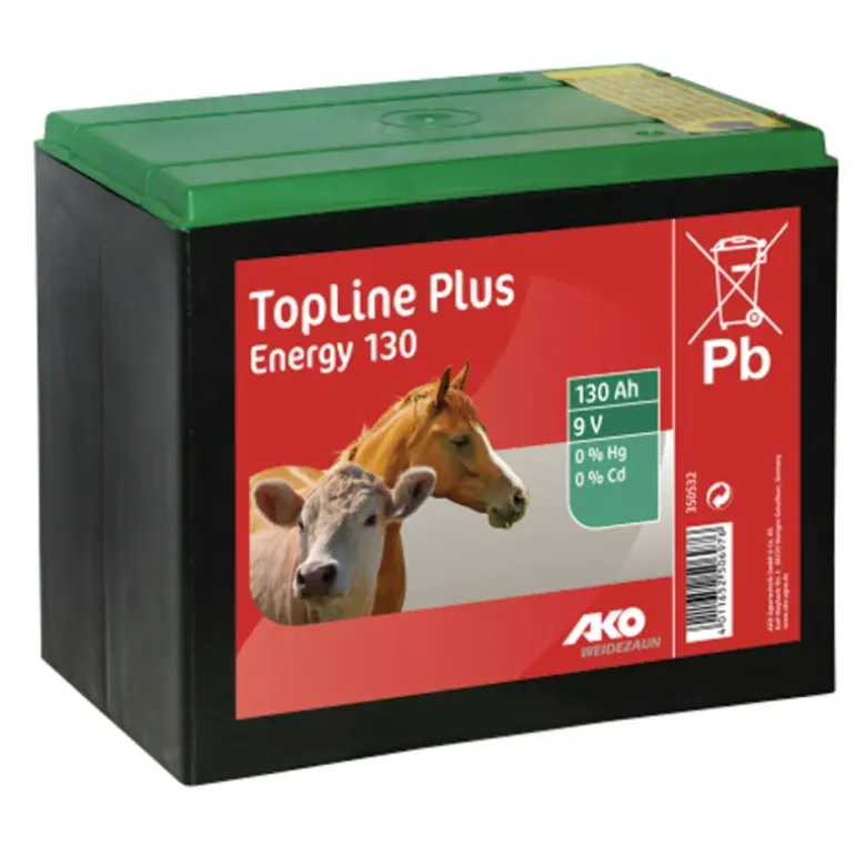 Pile batterie 9V 170 a/h pour électrificateur de clôture