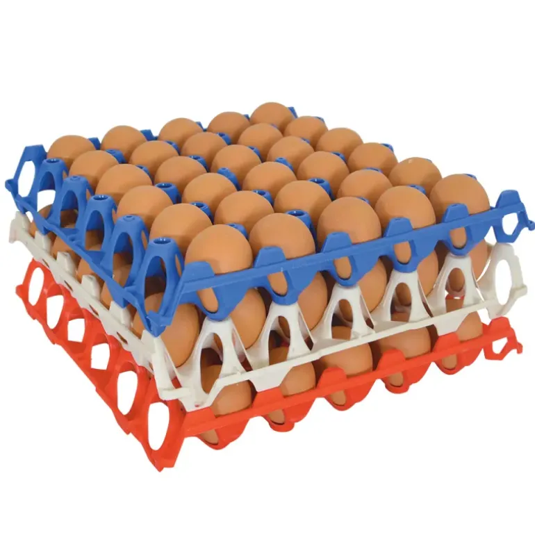 Plateau oeufs plastique empilable 30X30 CM alimentaire