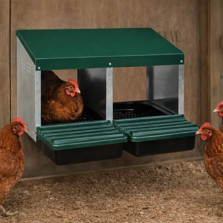 Pondoir poule pro en tôle galvanisée 2 nids