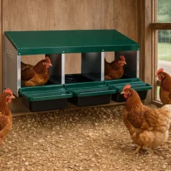 Pondoir poule pro en tôle galvanisée 3 nids