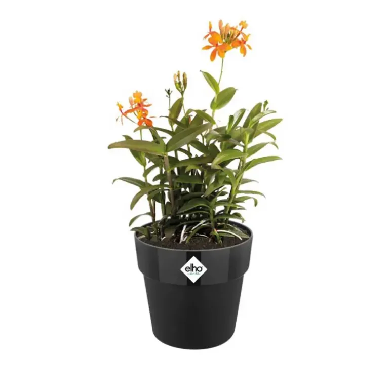 Pot de fleurs Elho Ø22xH20cm noir en plastique recyclé avec réservoir d'eau intégré