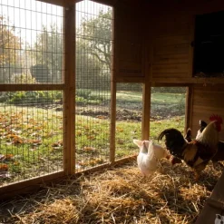 Poulailler Bois 2 étages 10-15 poules 222X115 X200 cm sol PVC
