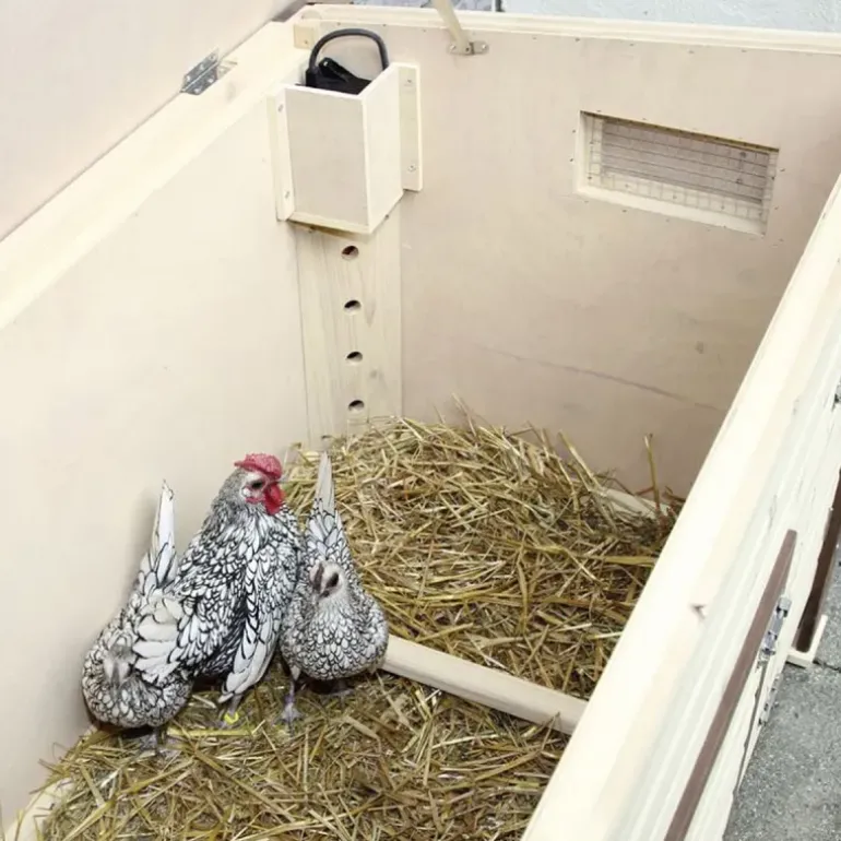 Poulailler chauffant et isolé avec thermostat 3 à 4 poules