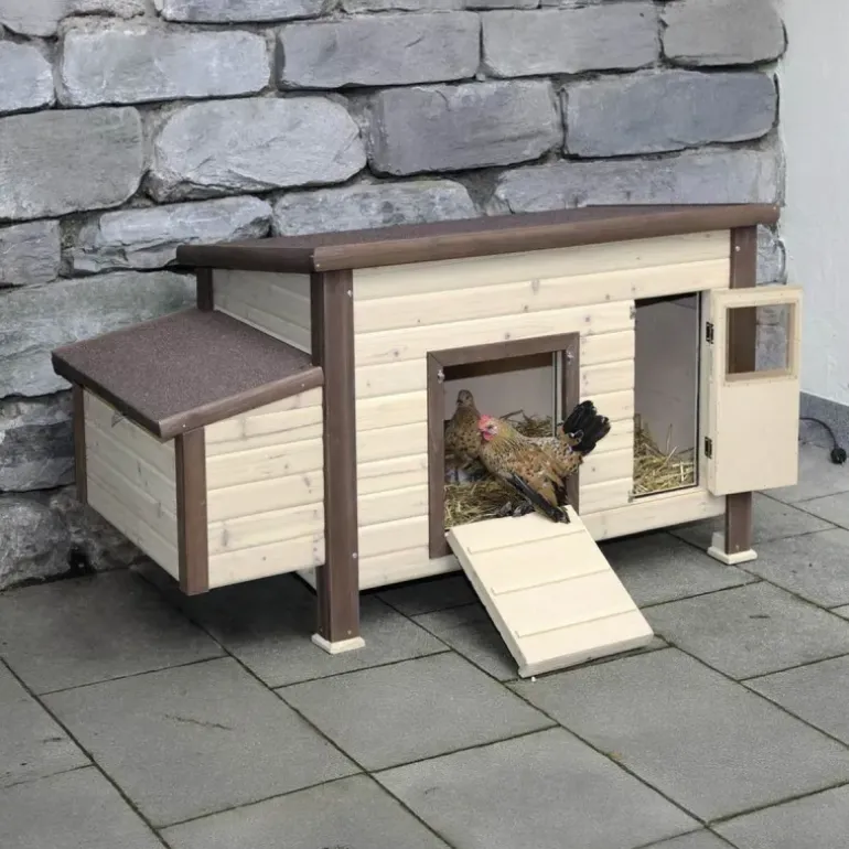 Poulailler chauffant et isolé avec thermostat 3 à 4 poules