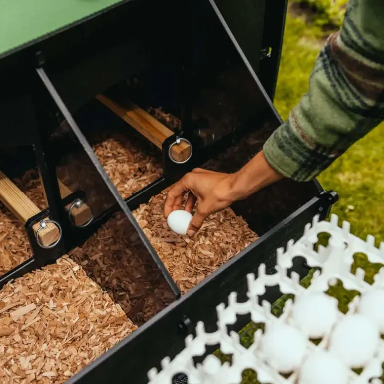 Poulailler plastique recyclé 5 à 9 poules