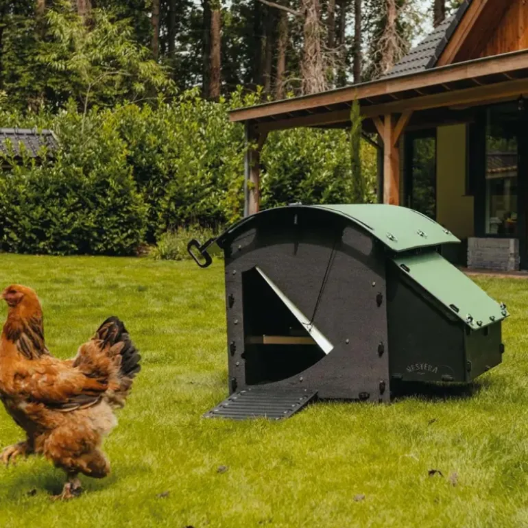 Poulailler plastique recyclé 5 à 9 poules