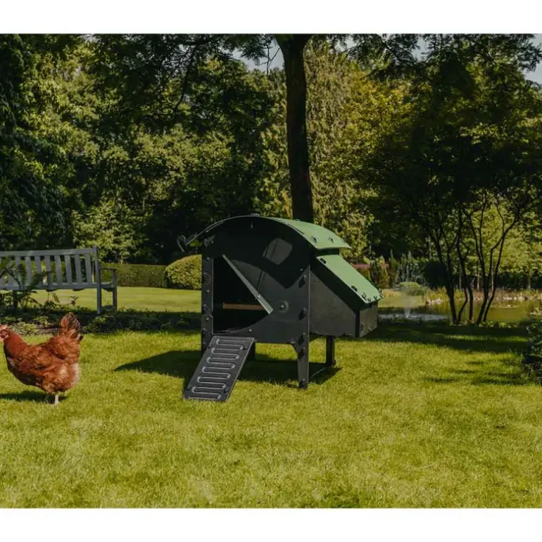 Poulailler sur pieds en plastique recyclé 5 à 9 poules