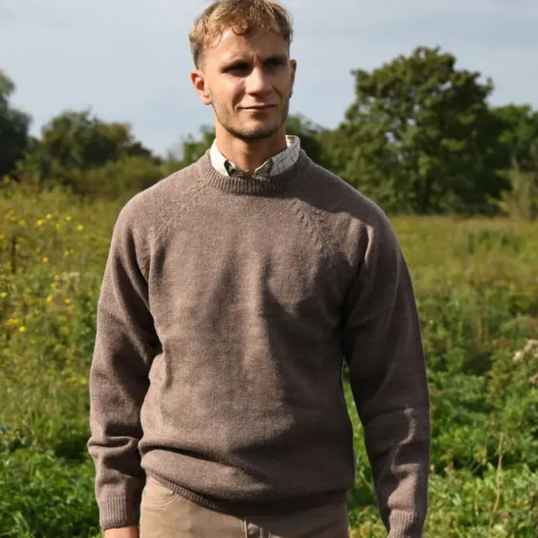 Pull Roanne col rond brun
