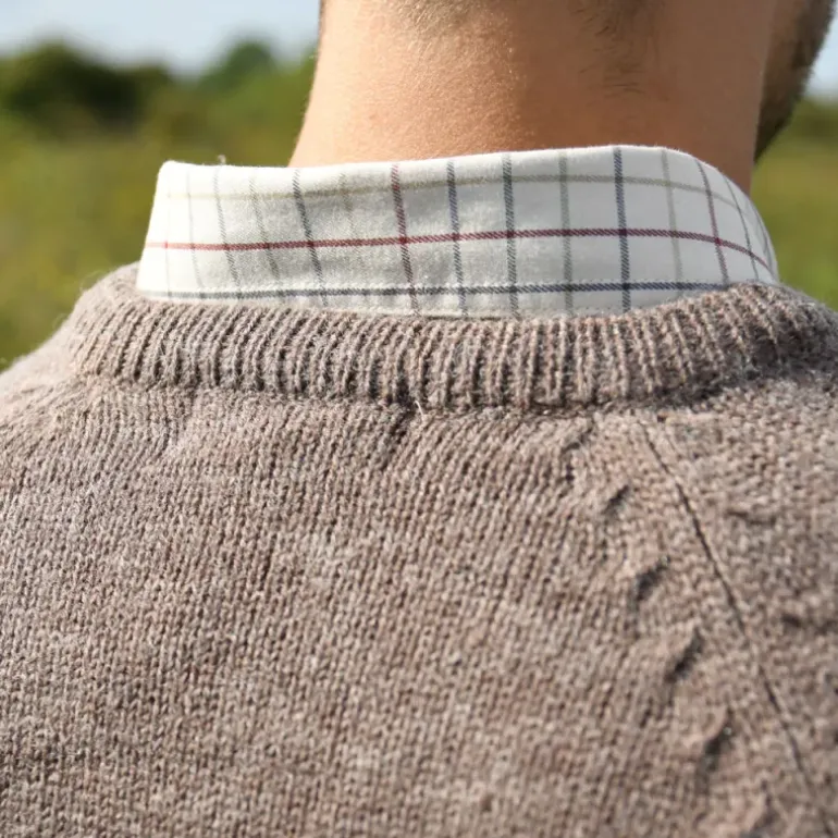 Pull Roanne col rond brun