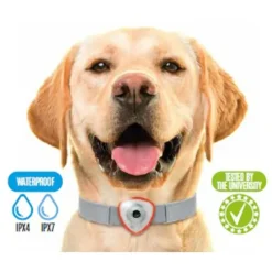 Répulsif électronique anti tiques et puces pour chien et chats noir