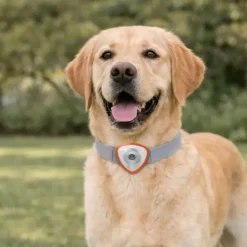 Répulsif électronique anti tiques et puces pour chien et chats noir